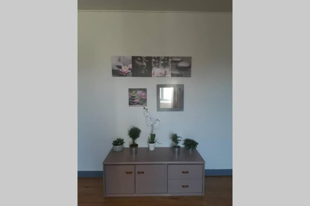 Chaleureux De 82m2 Proche De Vulcania Appartement